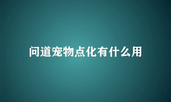 问道宠物点化有什么用