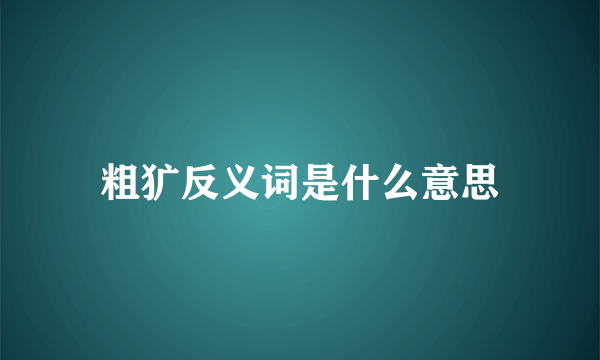 粗犷反义词是什么意思