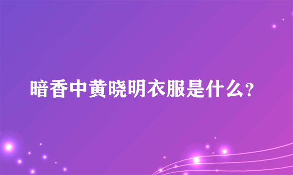 暗香中黄晓明衣服是什么？