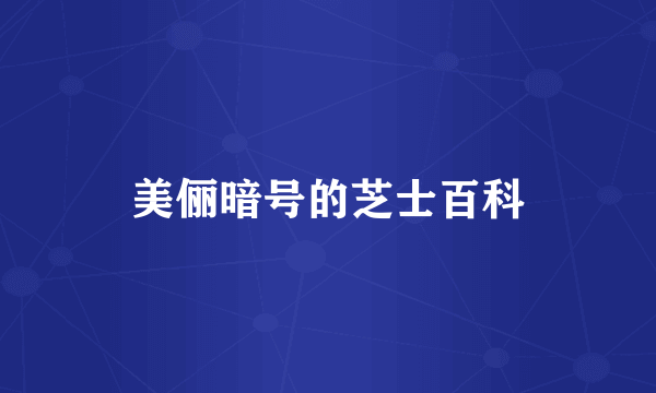 美俪暗号的芝士百科