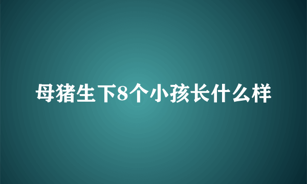 母猪生下8个小孩长什么样