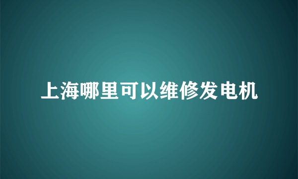 上海哪里可以维修发电机