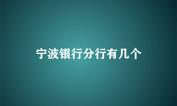 宁波银行分行有几个