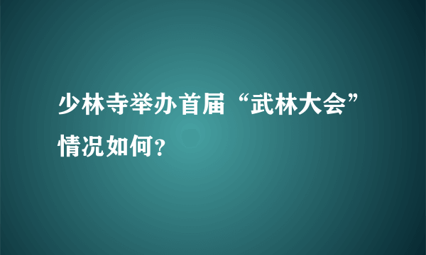 少林寺举办首届“武林大会”情况如何？