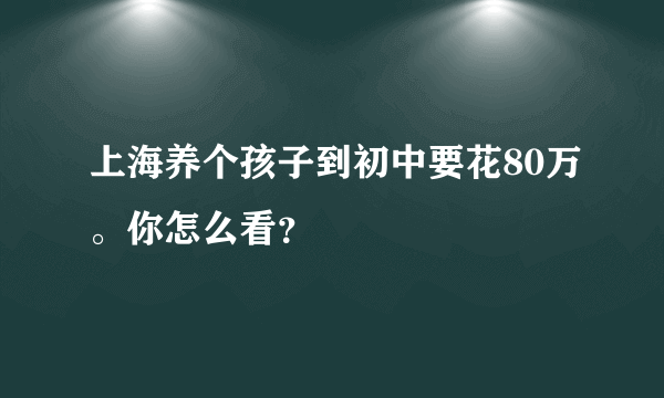 上海养个孩子到初中要花80万。你怎么看？