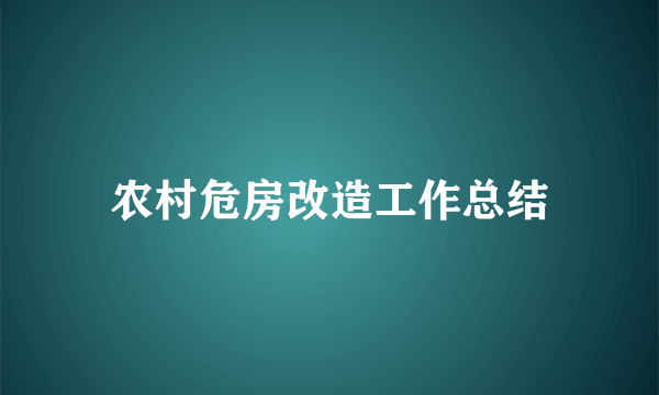 农村危房改造工作总结