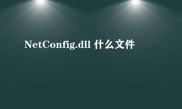 NetConfig.dll 什么文件