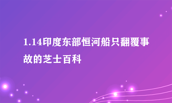 1.14印度东部恒河船只翻覆事故的芝士百科