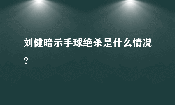 刘健暗示手球绝杀是什么情况？