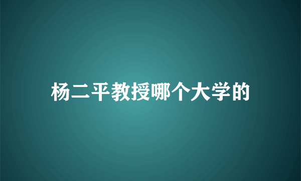 杨二平教授哪个大学的