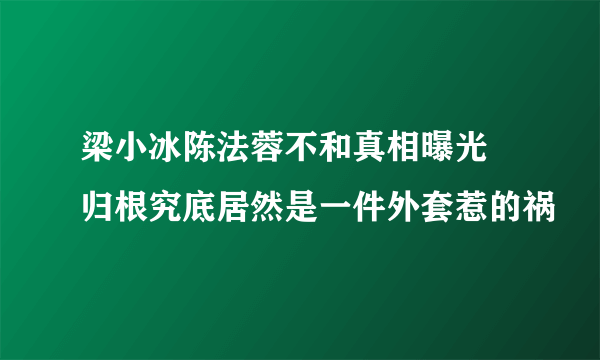 梁小冰陈法蓉不和真相曝光 归根究底居然是一件外套惹的祸