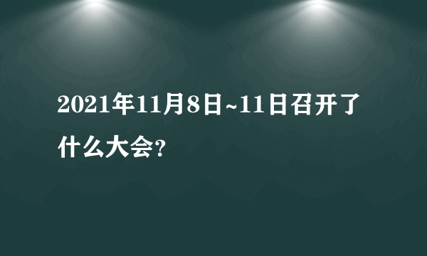 2021年11月8日~11日召开了什么大会？