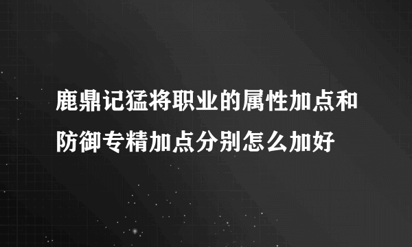 鹿鼎记猛将职业的属性加点和防御专精加点分别怎么加好
