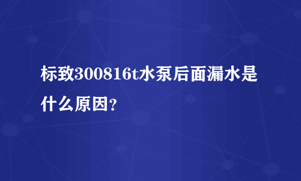 标致300816t水泵后面漏水是什么原因？