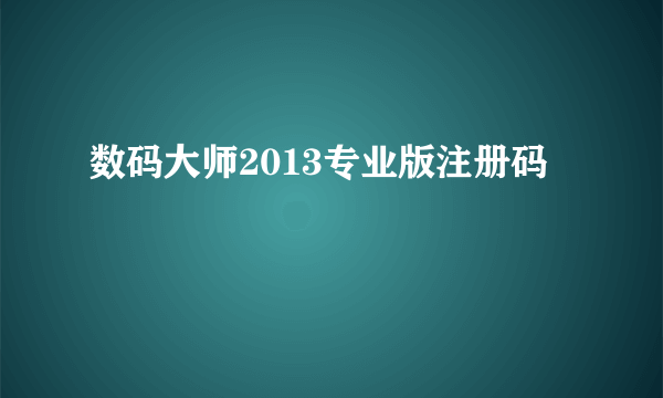 数码大师2013专业版注册码