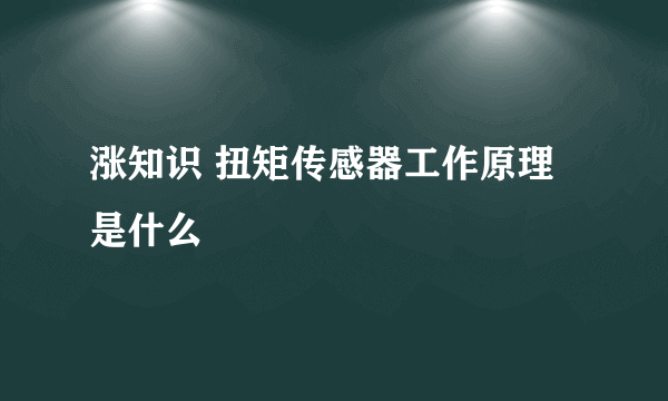 涨知识 扭矩传感器工作原理是什么