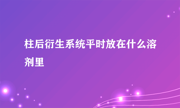 柱后衍生系统平时放在什么溶剂里