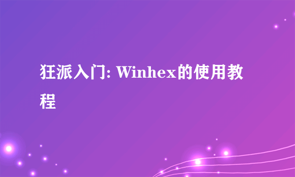 狂派入门: Winhex的使用教程