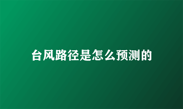 台风路径是怎么预测的