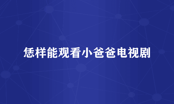 恁样能观看小爸爸电视剧