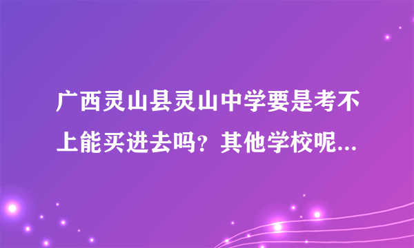 广西灵山县灵山中学要是考不上能买进去吗？其他学校呢…求回答…