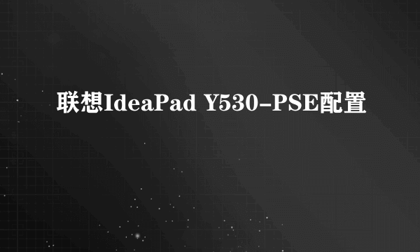 联想IdeaPad Y530-PSE配置