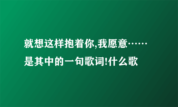 就想这样抱着你,我愿意……是其中的一句歌词!什么歌