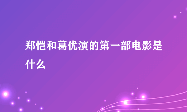 郑恺和葛优演的第一部电影是什么