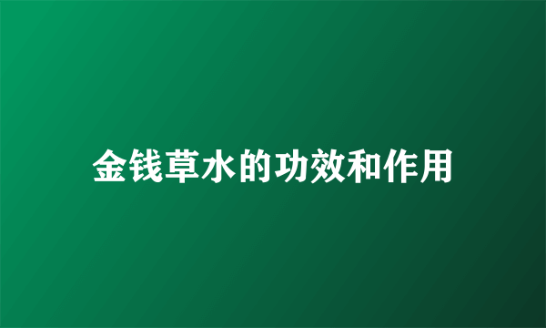 金钱草水的功效和作用