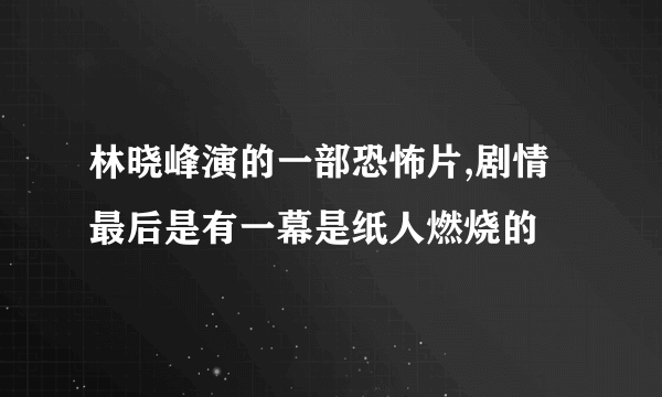 林晓峰演的一部恐怖片,剧情最后是有一幕是纸人燃烧的