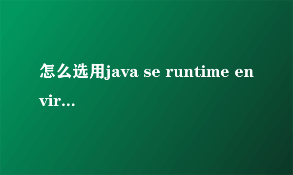 怎么选用java se runtime environment（JRE）