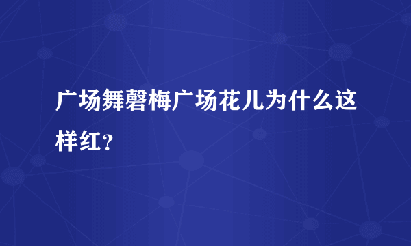 广场舞磬梅广场花儿为什么这样红？