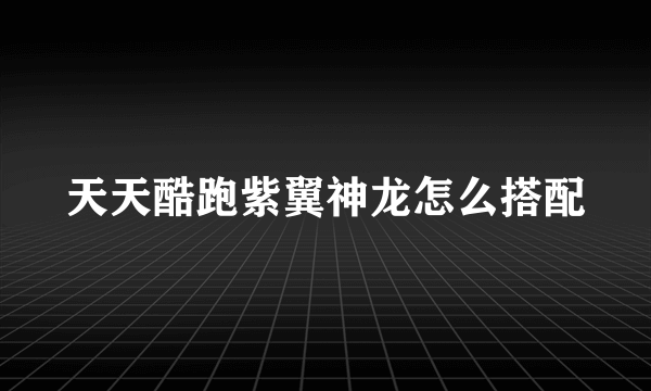 天天酷跑紫翼神龙怎么搭配