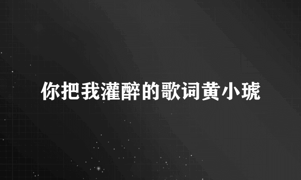 你把我灌醉的歌词黄小琥