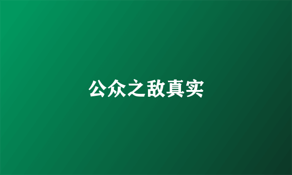 公众之敌真实