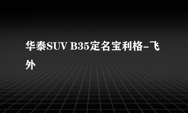 华泰SUV B35定名宝利格-飞外