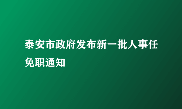 泰安市政府发布新一批人事任免职通知