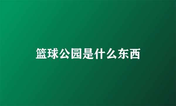 篮球公园是什么东西