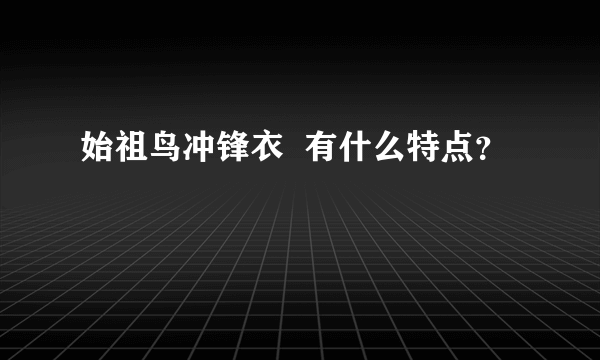 始祖鸟冲锋衣  有什么特点？