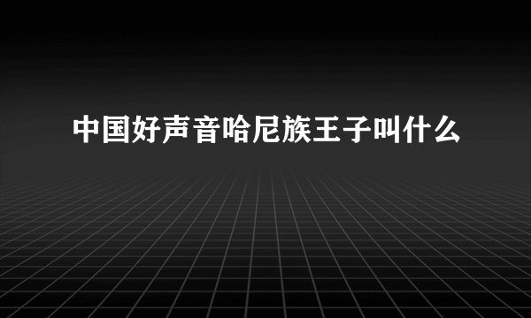 中国好声音哈尼族王子叫什么