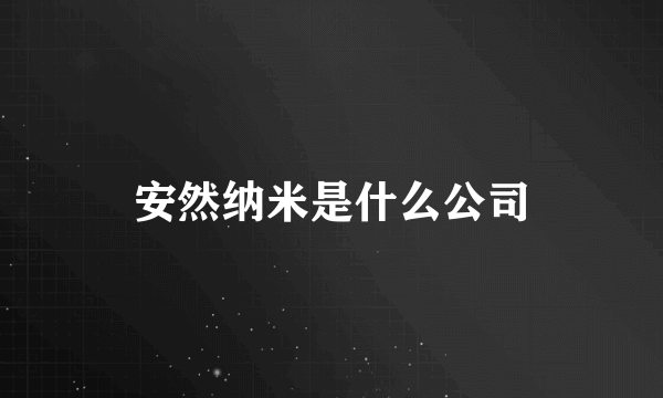 安然纳米是什么公司
