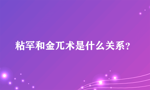 粘罕和金兀术是什么关系？