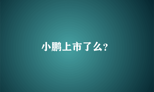 小鹏上市了么？