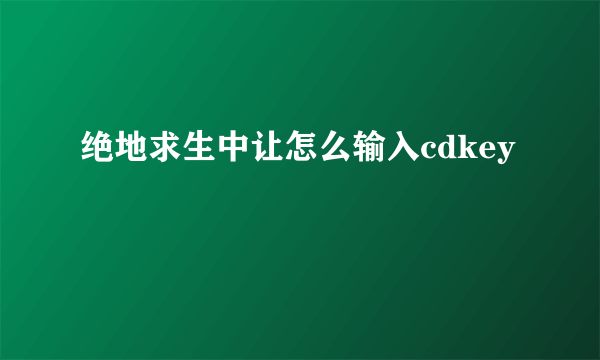 绝地求生中让怎么输入cdkey