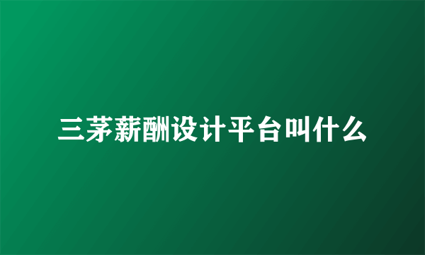 三茅薪酬设计平台叫什么