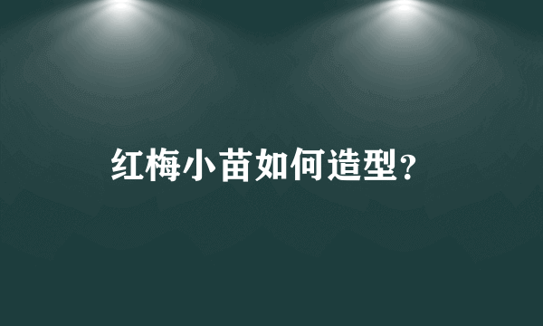 红梅小苗如何造型？
