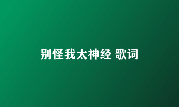别怪我太神经 歌词