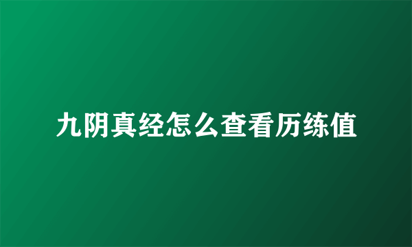 九阴真经怎么查看历练值