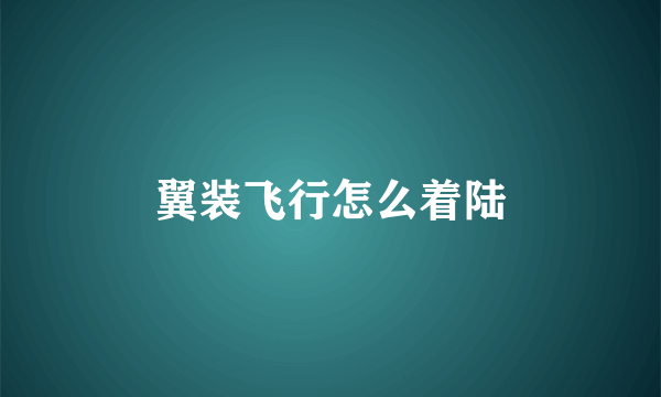 翼装飞行怎么着陆