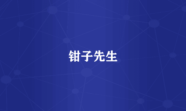 钳子先生
